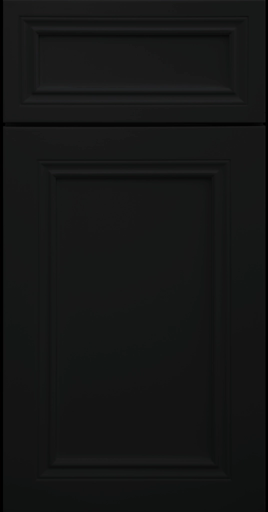 Close-up of Corona cabinets in Black with mitered molding and flat center panel.